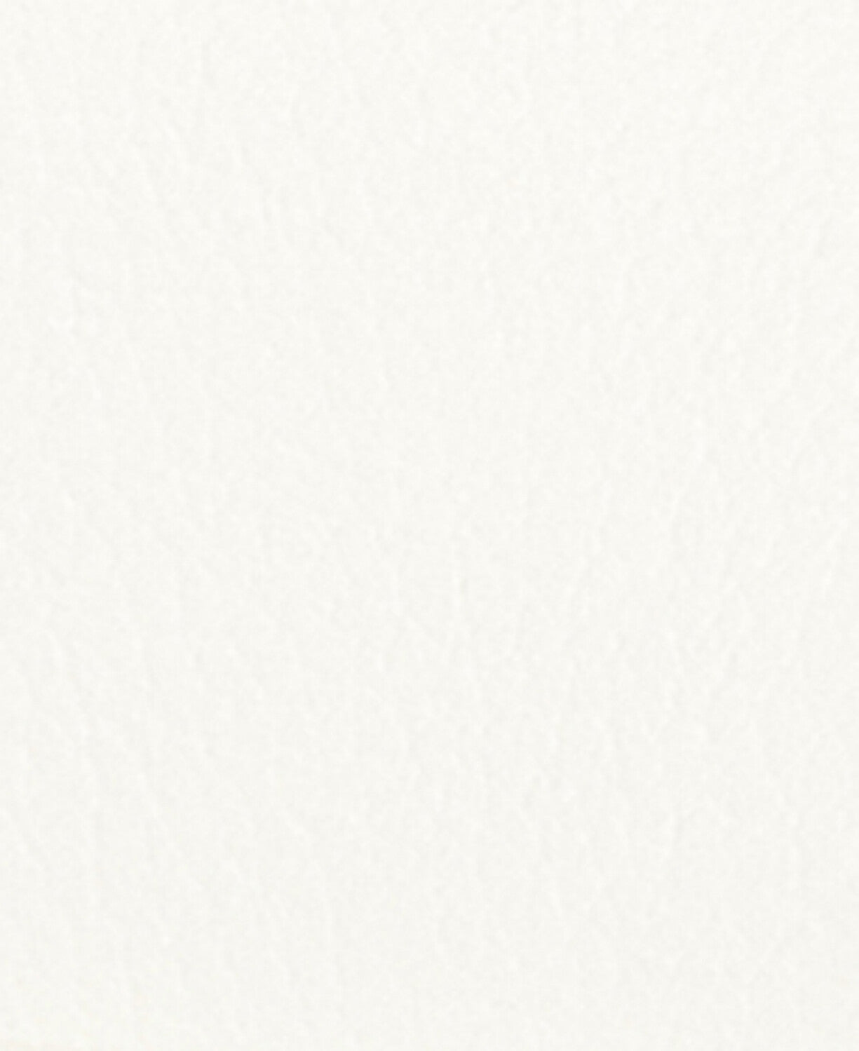 Barbour Celeste Cupsole Trainer - White/Silver