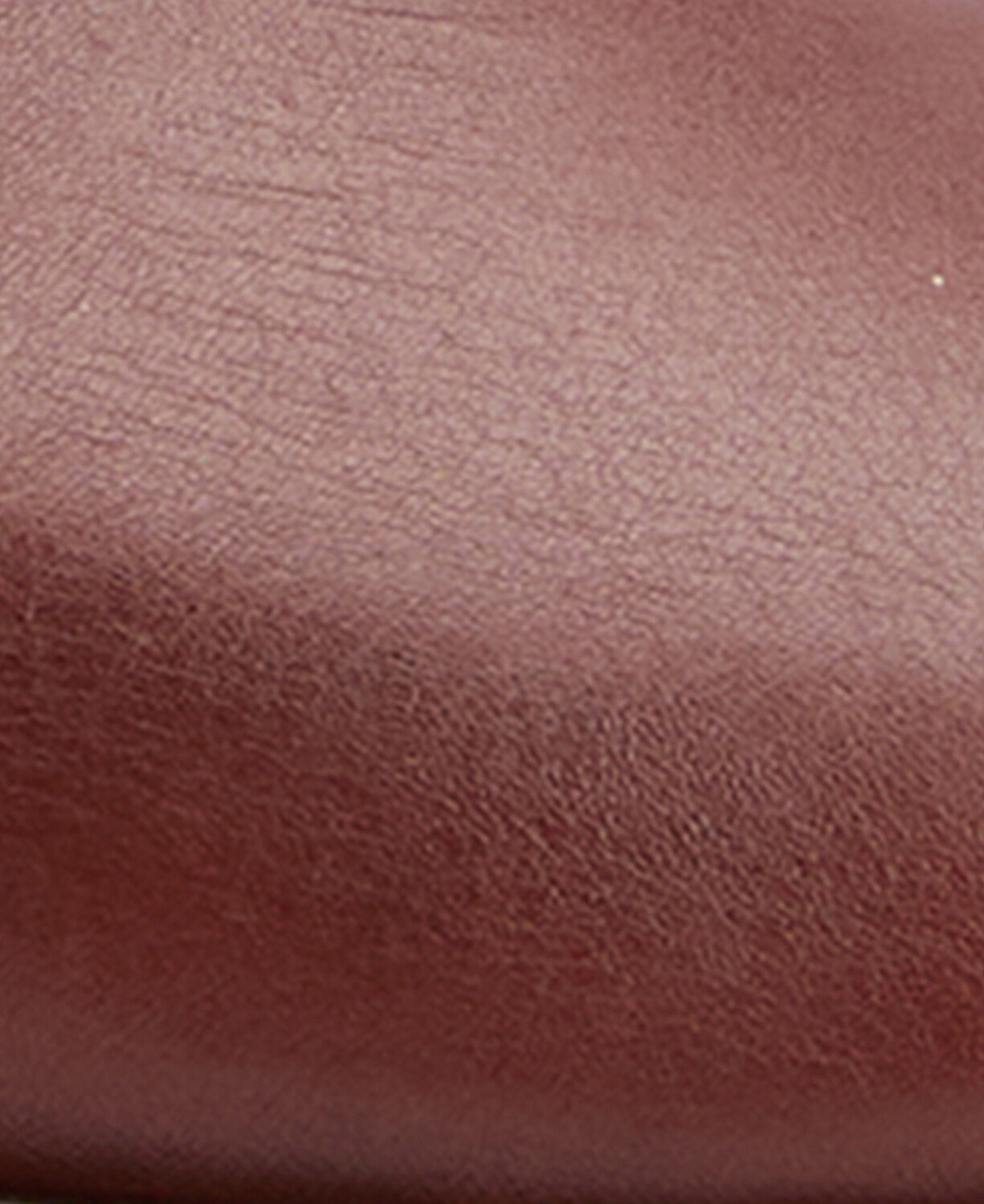 Barbour Delfine Chelsea Boot - Conker