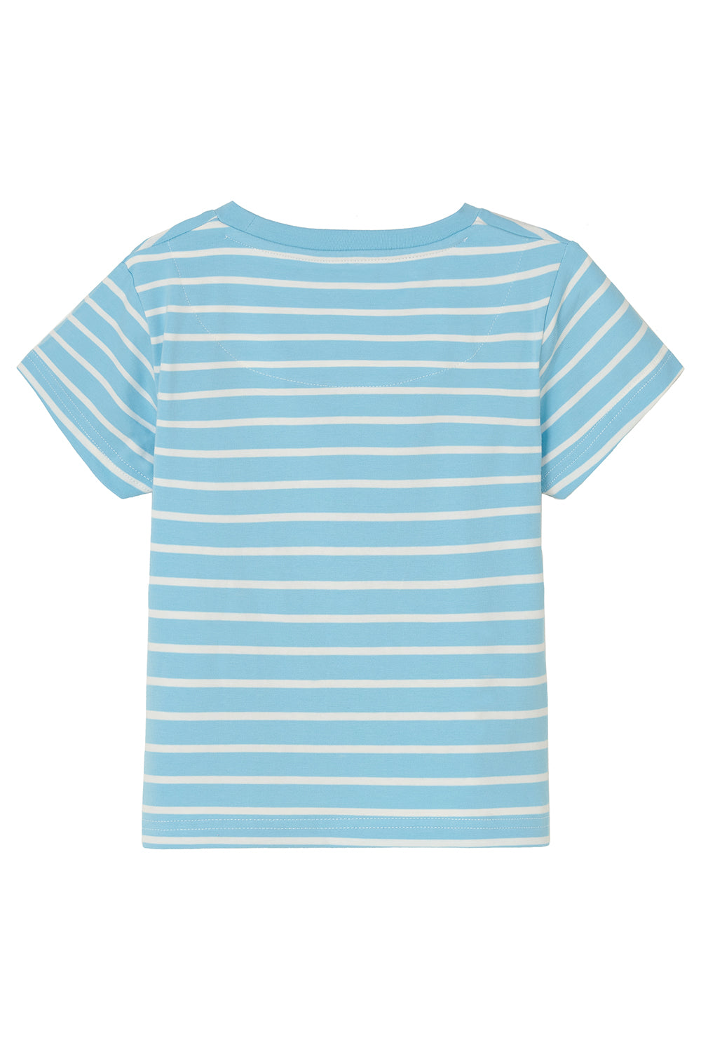 Lighthouse Causeway Kids Tshirt - Sheepdog/Lamb Print