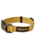 Dubarry Apollo dog collar - Gold