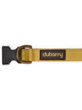 Dubarry Apollo dog collar - Gold
