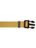 Dubarry Apollo dog collar - Gold
