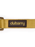 Dubarry Apollo dog collar - Gold