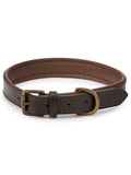 Dubarry Axel Padded Leather dog collar - Mahogany