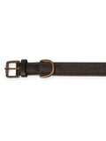 Dubarry Axel Padded Leather dog collar - Mahogany