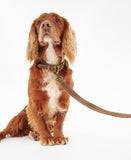 Barbour Leather Dog Lead - Brown