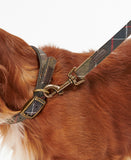 Barbour Tartan/Webbing Dog Lead - Classic Tartan