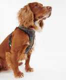 Barbour Tartan Dog Harness - Classic Tartan