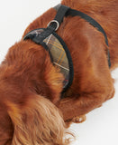 Barbour Tartan Dog Harness - Classic Tartan