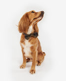 Barbour Tartan Dog Bow Tie - Classic Tartan