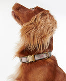 Barbour Reflective Tartan Dog Collar - Taupe/Pink Tartan