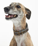 Barbour Comfort Lurcher Collar - Classic Tartan
