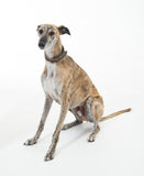 Barbour Comfort Lurcher Collar - Classic Tartan
