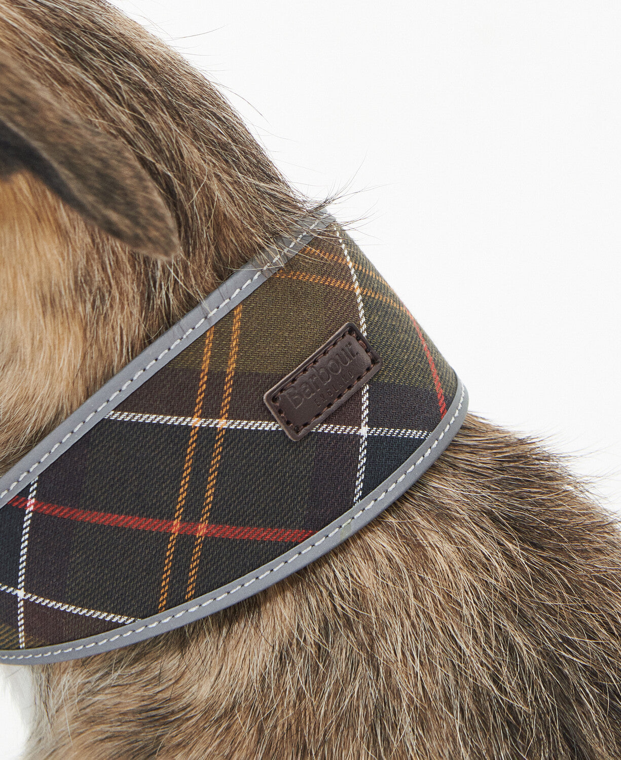 Barbour collar sales