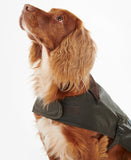 Barbour Wax Dog Coat - Olive