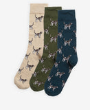 Barbour Pointer Dog Socks Gift Box - Forest Mist