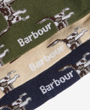 Barbour Pointer Dog Socks Gift Box - Forest Mist