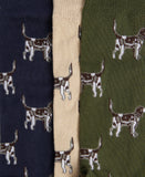 Barbour Pointer Dog Socks Gift Box - Forest Mist