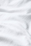 Seasalt Camerance T-Shirt - Salt