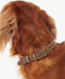 Barbour Leather Dog Collar - Brown