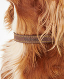 Barbour Leather Dog Collar - Brown