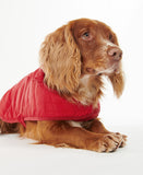 Barbour Baffle Quilt Dog Coat - Brick Red